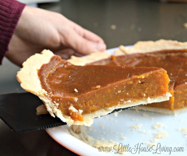 Easy and Frugal Eggless Pumpkin Pie Recipe Pumpkin PIe
