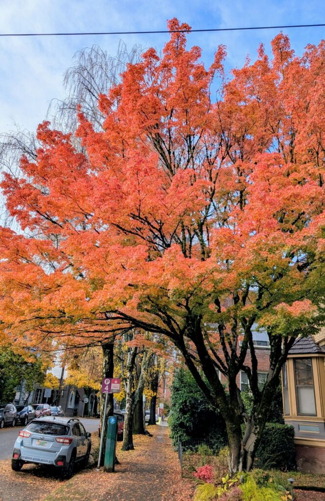 Happy Thanksgiving 2025! - Retire by 40