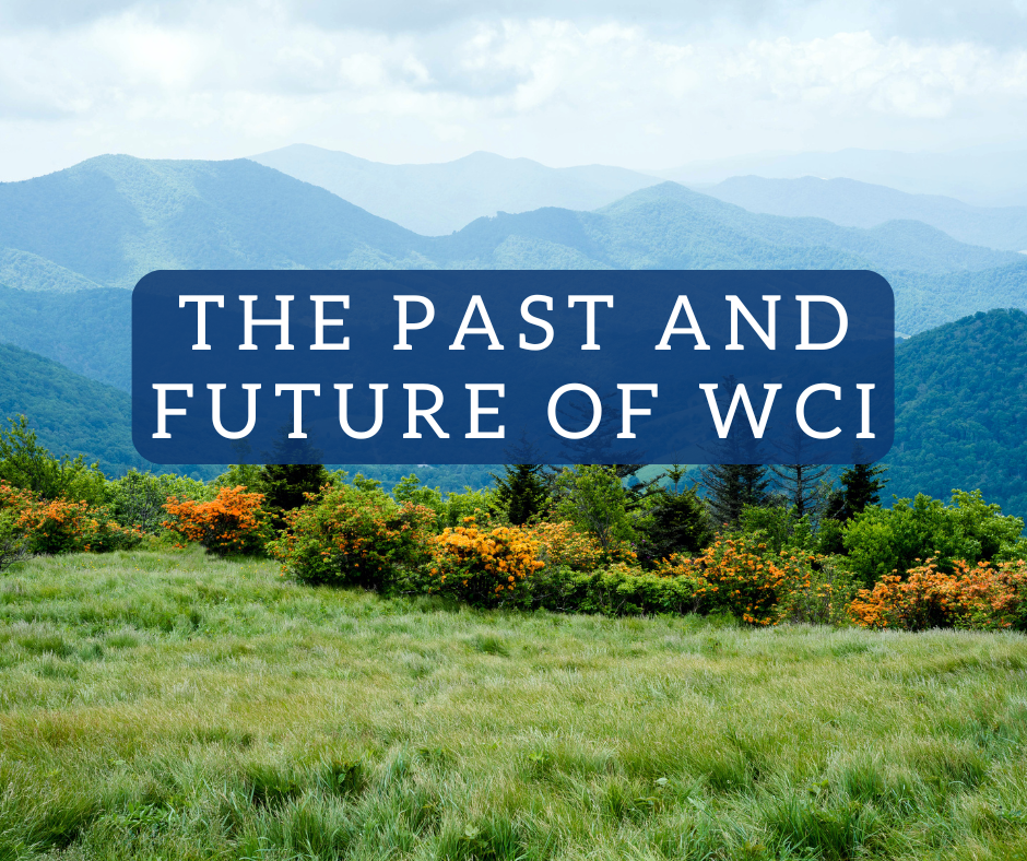 The Past and Future of WCI The Past and Future of WCI