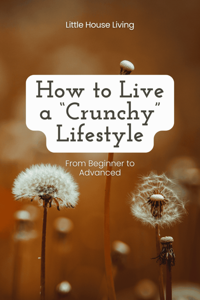 crunchy life pin
